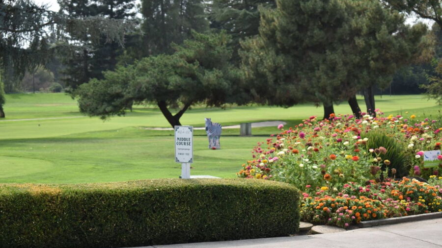 Middle at Woodbridge GCC