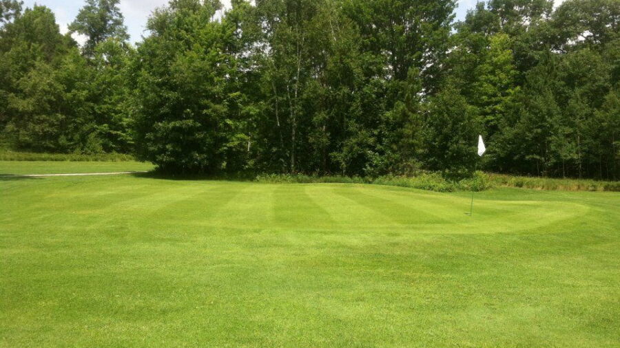 Cedar Valley GC: #6