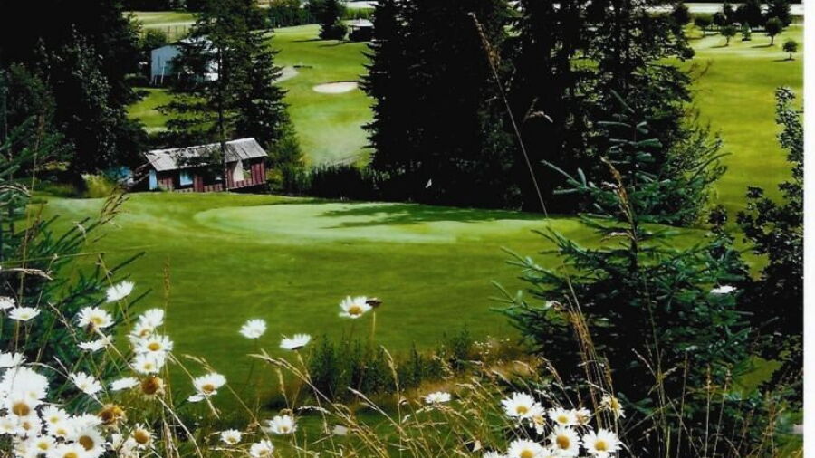 Club Shuswap Golf & R.V. - Lakeview Greens: #14