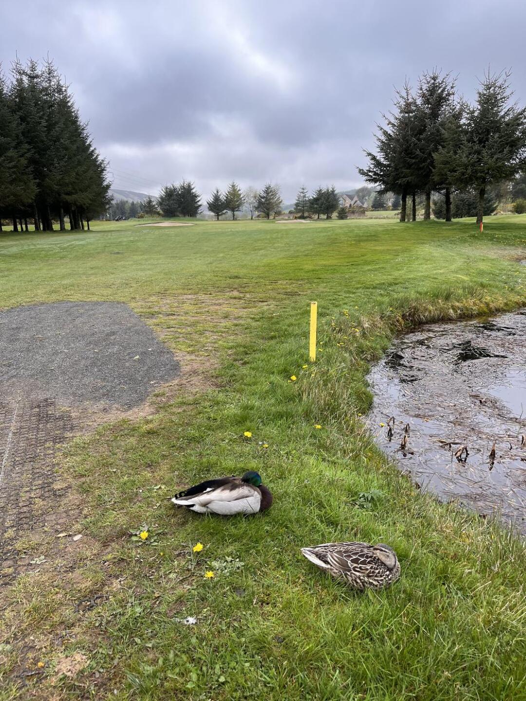 (Photo submitted by u314161669965 on 05/09/2023)