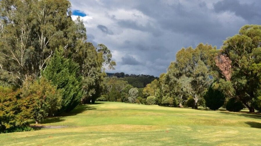 Myrtleford GC: #12