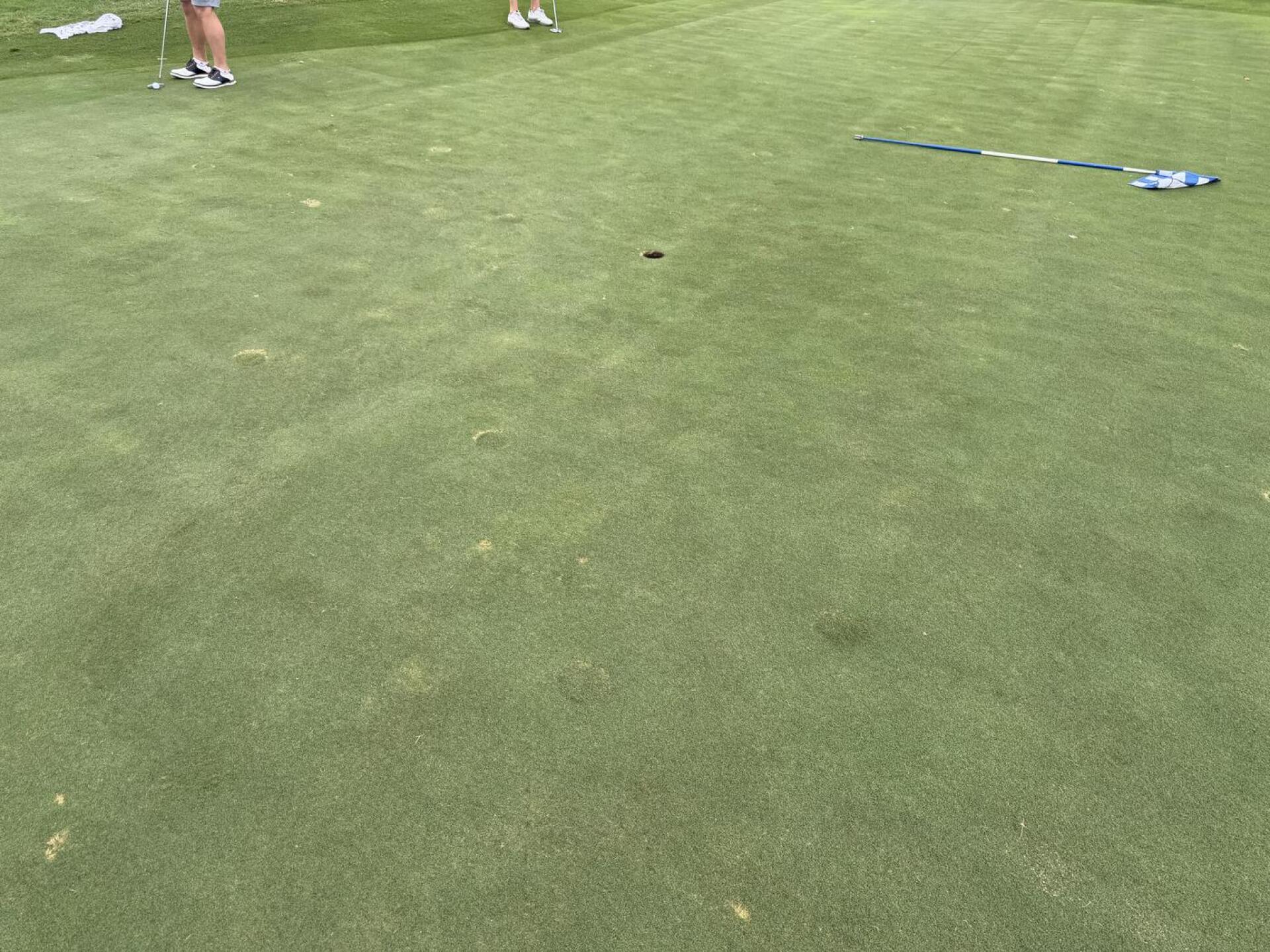 (Photo submitted by u314159701158 on 04/22/2026)