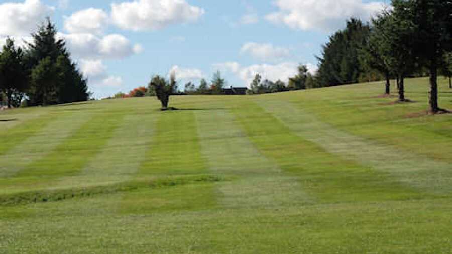 Bonnybridge GC: #9