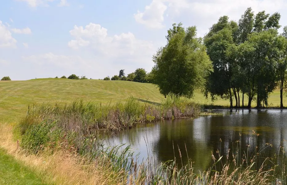 National GC - Oiselet