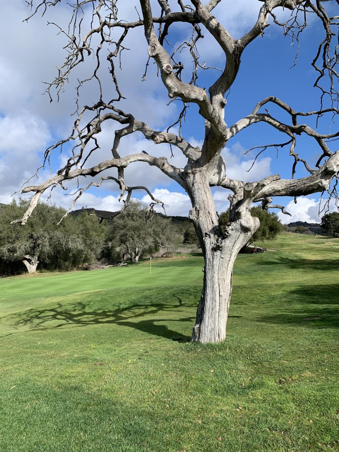 (Photo submitted by terryim7568 on 01/19/2022)