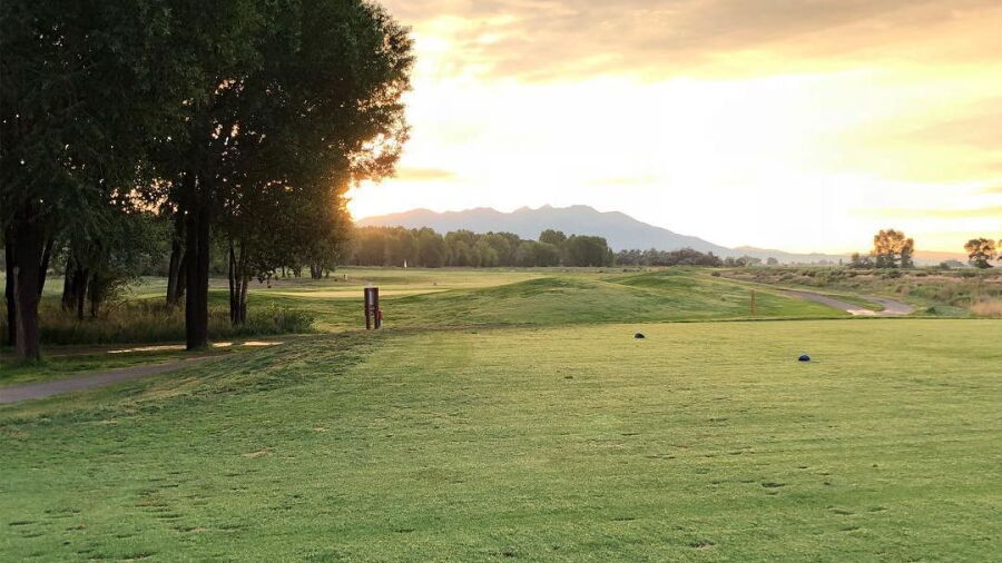 Cattails GC