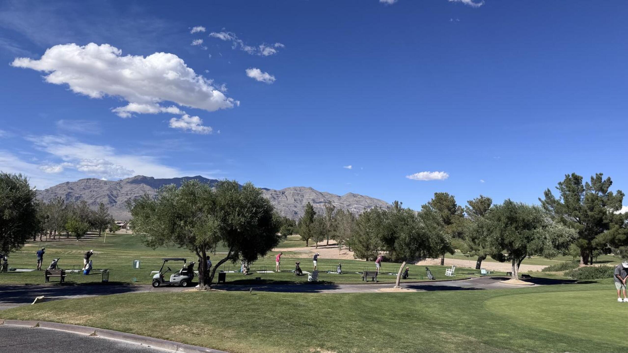 (Photo submitted by jananiiyengar on 04/11/2026)