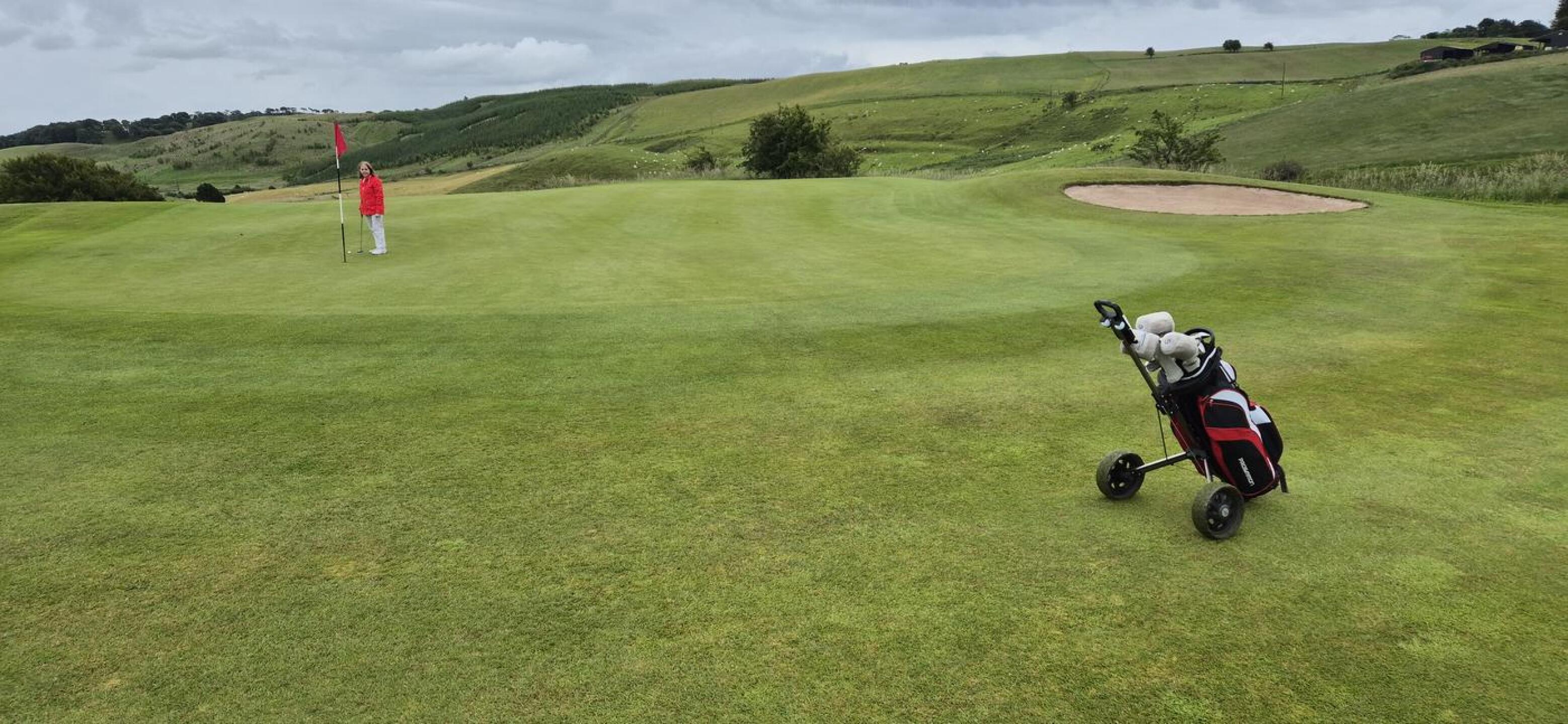 (Photo submitted by u314163107075 on 07/03/2025)