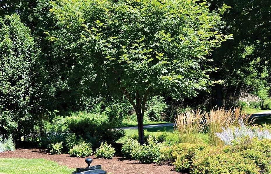 Lake of the Woods GC