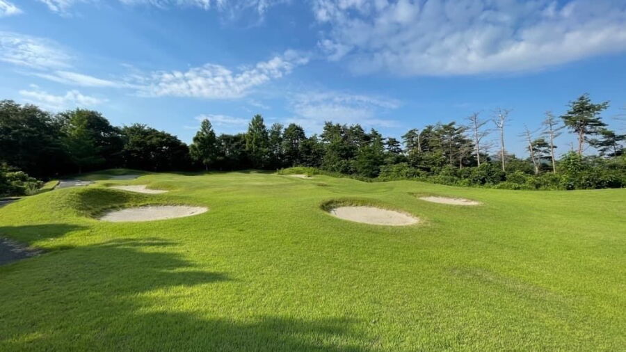 Taiwa GC: #11