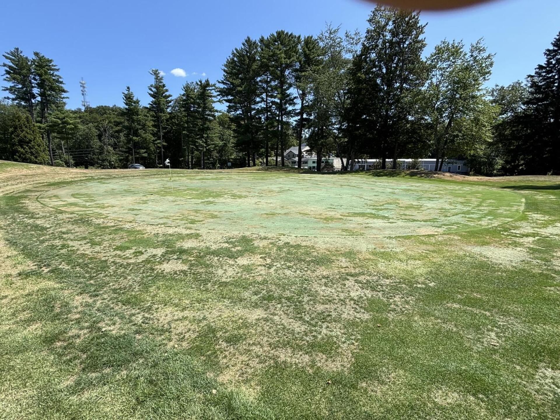 (Photo submitted by Jamoke1 on 08/08/2025)