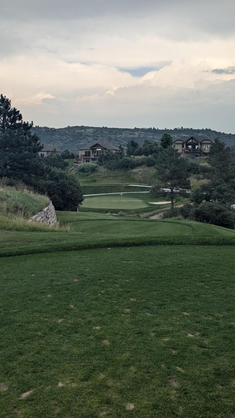 (Photo submitted by tiburonazo on 09/04/2024)