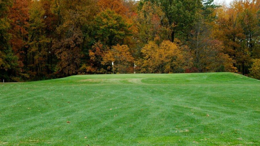 Westwood GC: #7