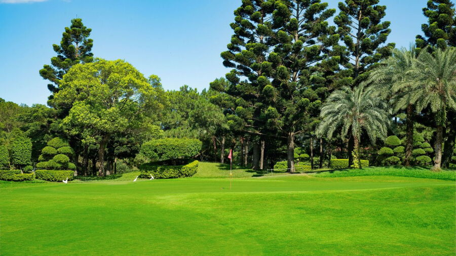 Chang Gung GC - North: #7