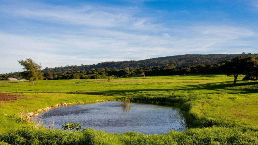 Sardinia Bay GC
