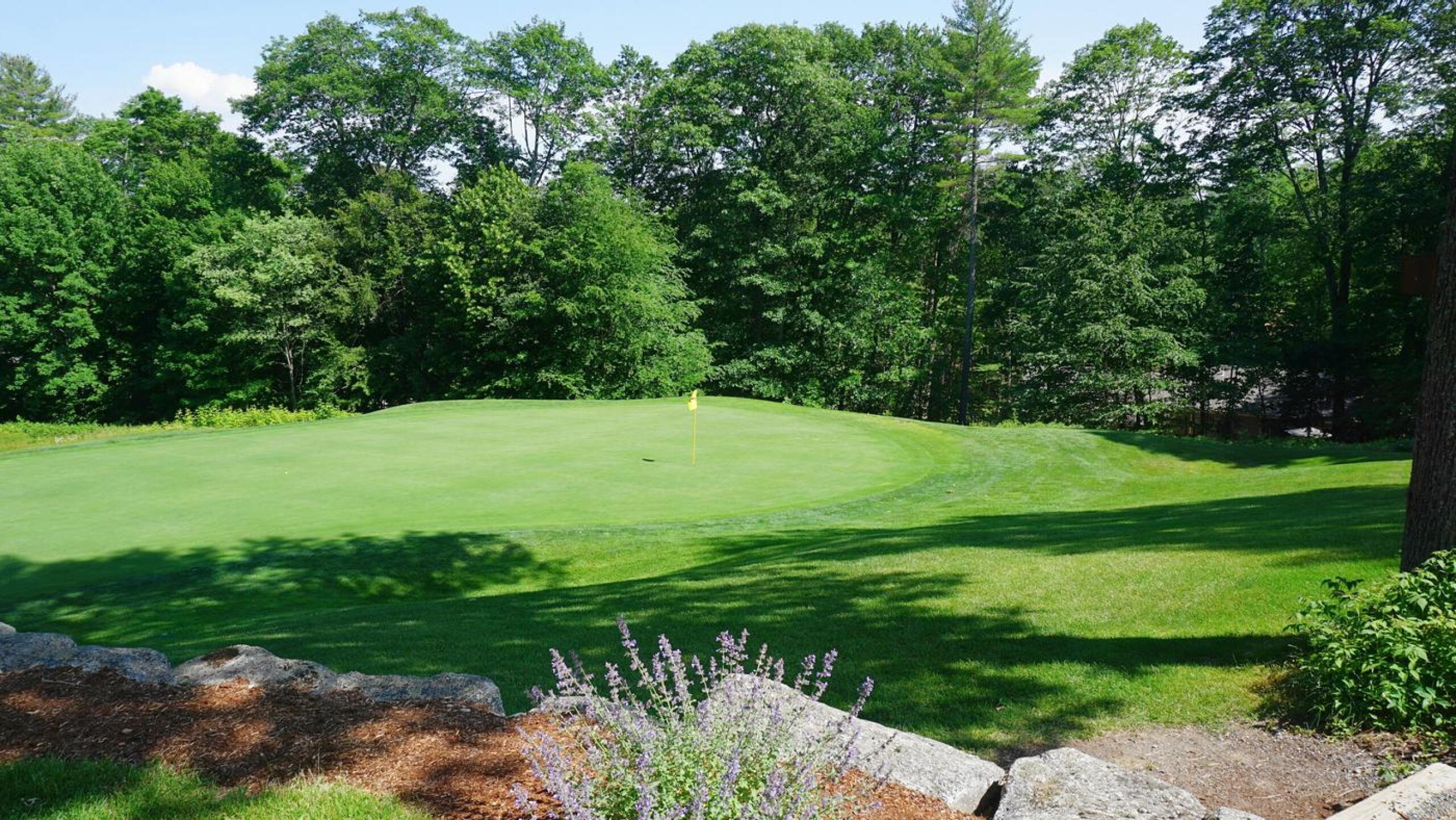 Fifteen: A view of this par-3’s green from its right flank. (Photo submitted by AptlyLinked on 06/23/2021)