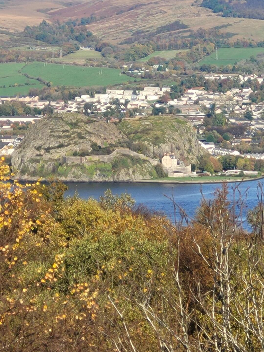 (Photo submitted by t348724301 on 11/05/2021)