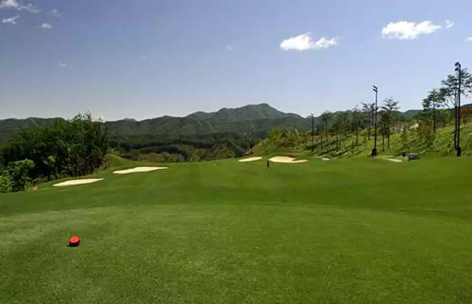 Shinedale CC - Shine: #1