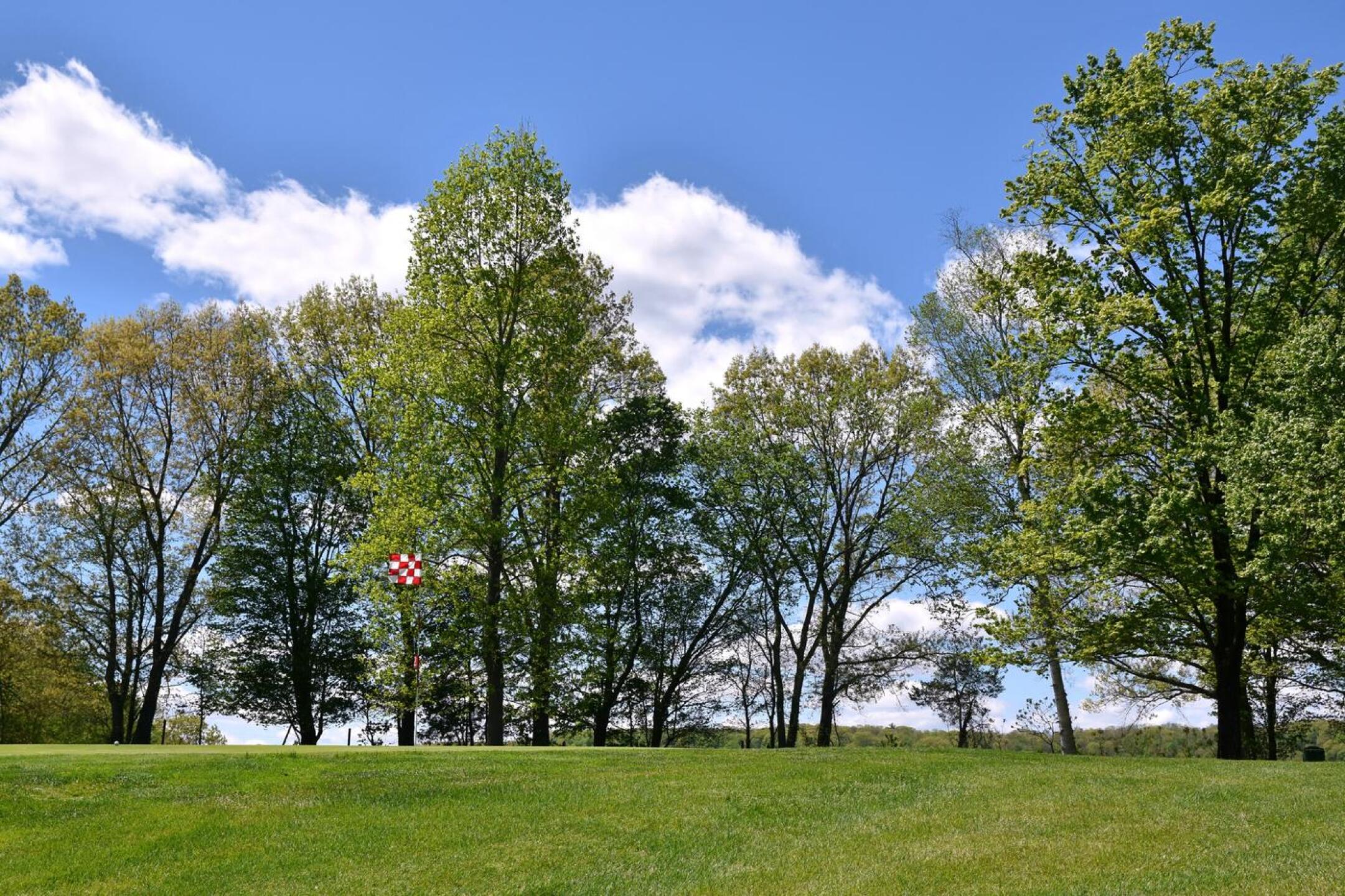A view of the green at the sixteenth. Pitching is difficult around this green—like many others at Agawam. (Photo submitted by AptlyLinked on 05/10/2026)