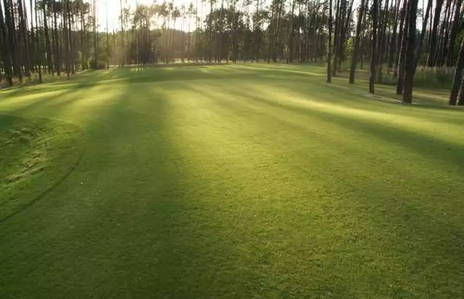 White Eurovalley GP - Public