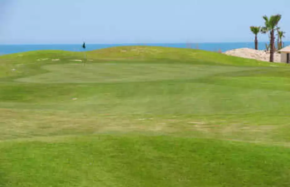 Las Caras de Mexico GC: #14