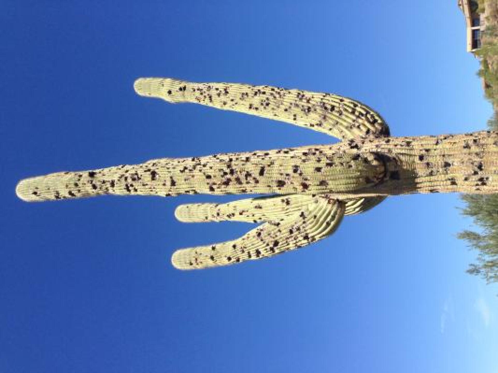 (Photo submitted by Mrfunkphd on 10/25/2013)