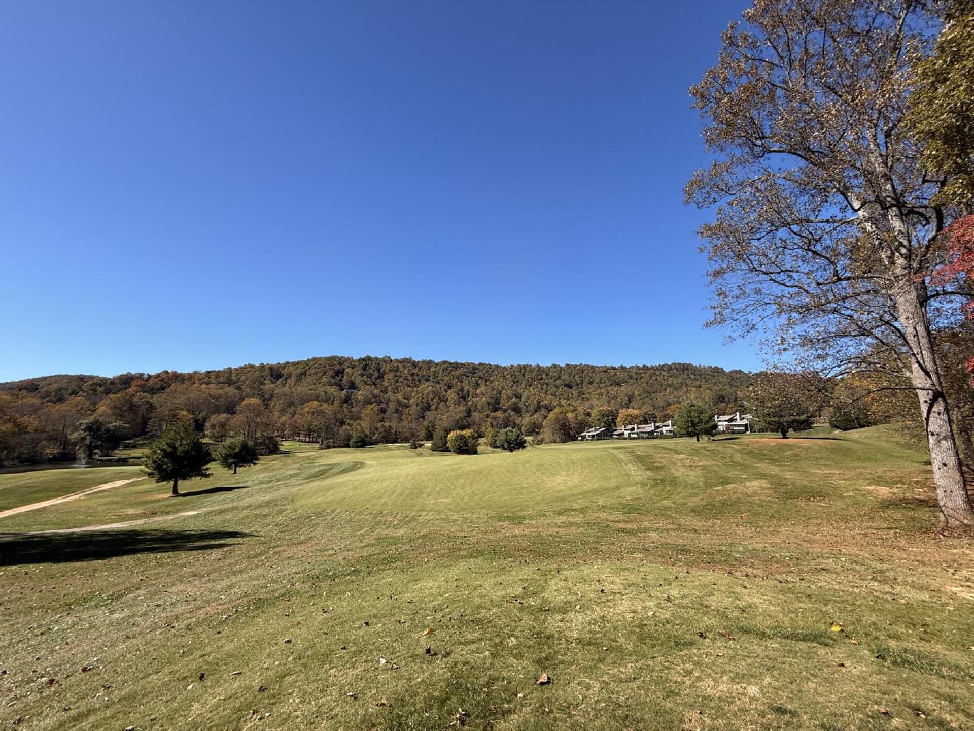 Open Fairways (Photo submitted by jdmeggi on 10/23/2025)