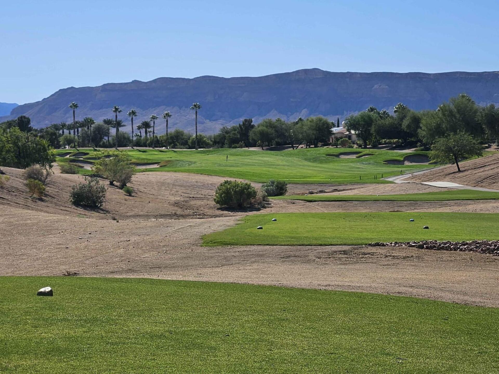 (Photo submitted by u314161622535 on 10/13/2025)