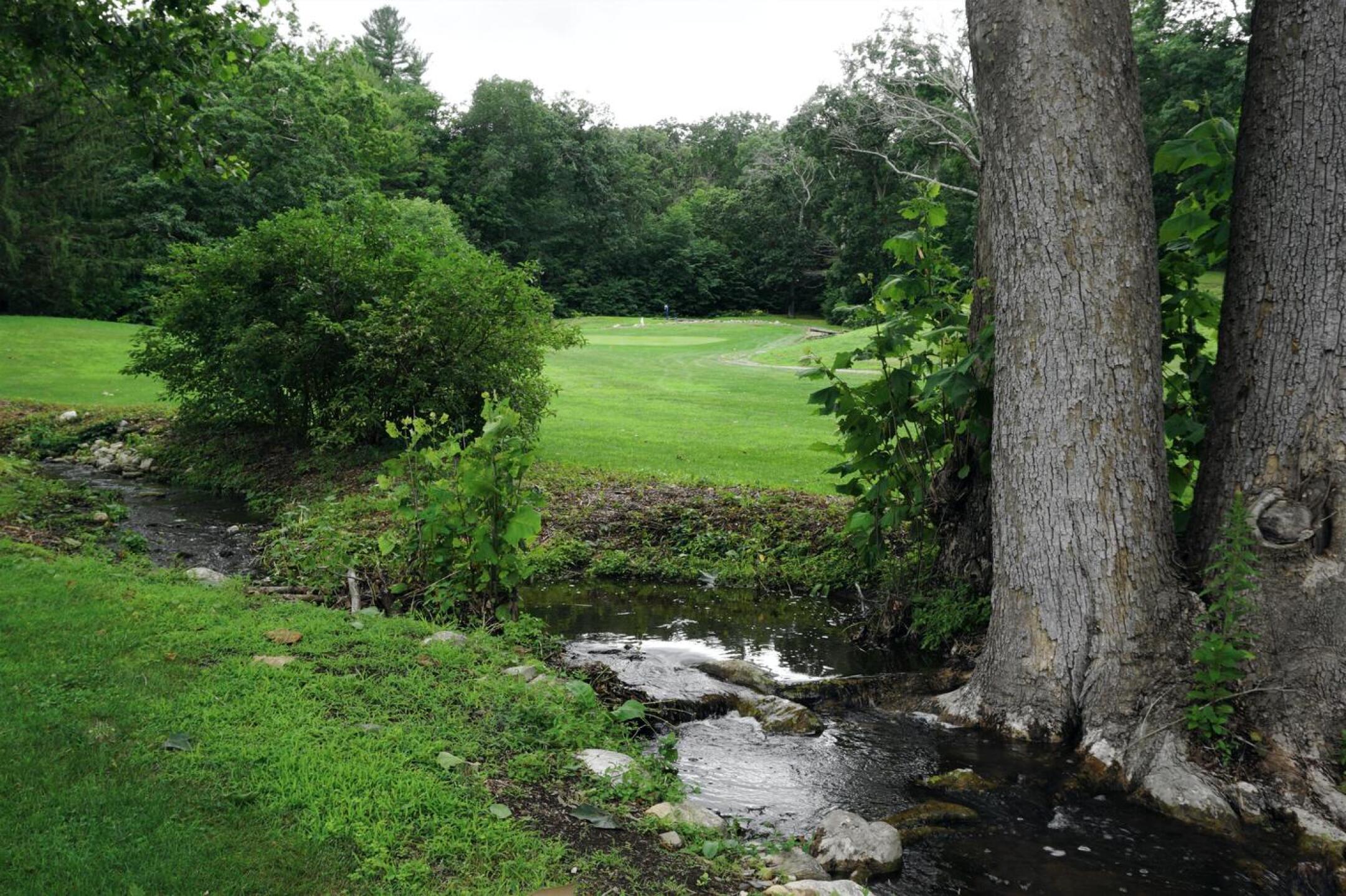 View to the first hole from the clubhouse area (July 4 photo). (Photo submitted by AptlyLinked on 08/22/2021)