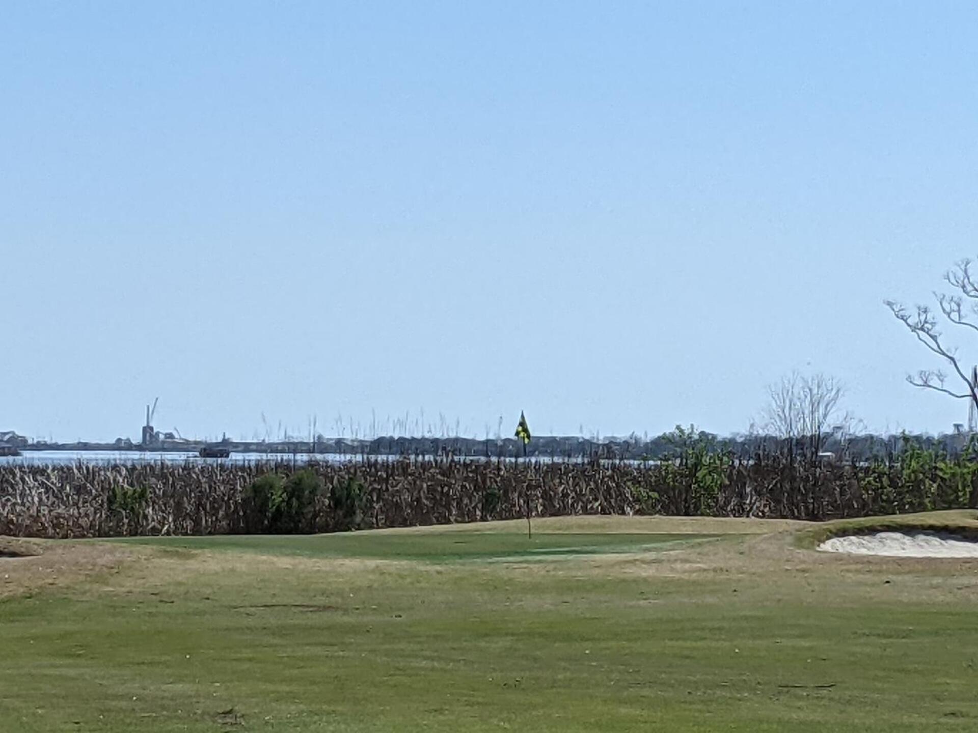 (Photo submitted by tiburonazo on 03/12/2021)