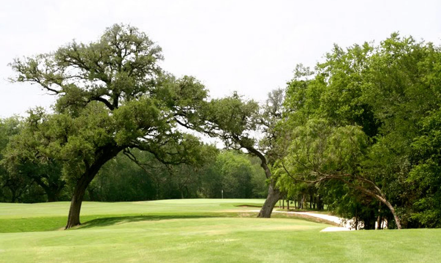 Republic Golf Club - No. 6 Green