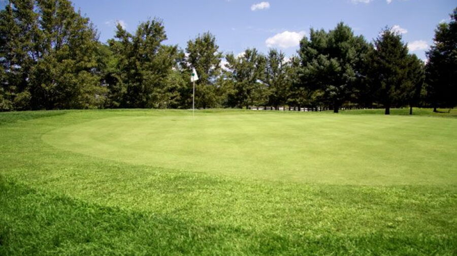 Cruz Farm GC