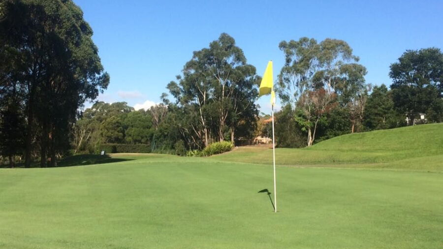 Gordon GC
