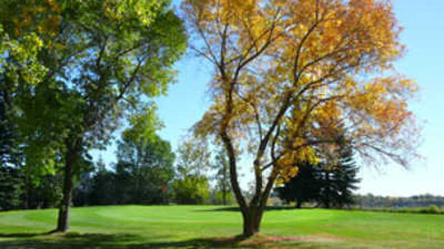 Lakeview GC