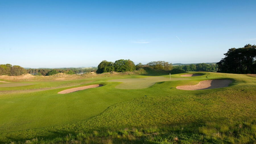 WINSTON GC - Kranich