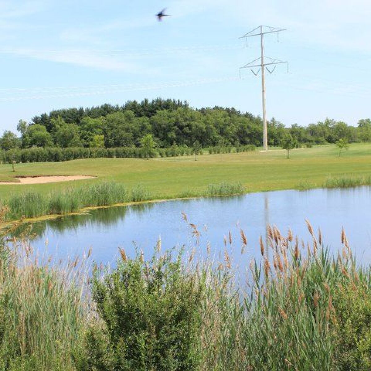 High Point Golf Club in Essex, Illinois, USA GolfPass