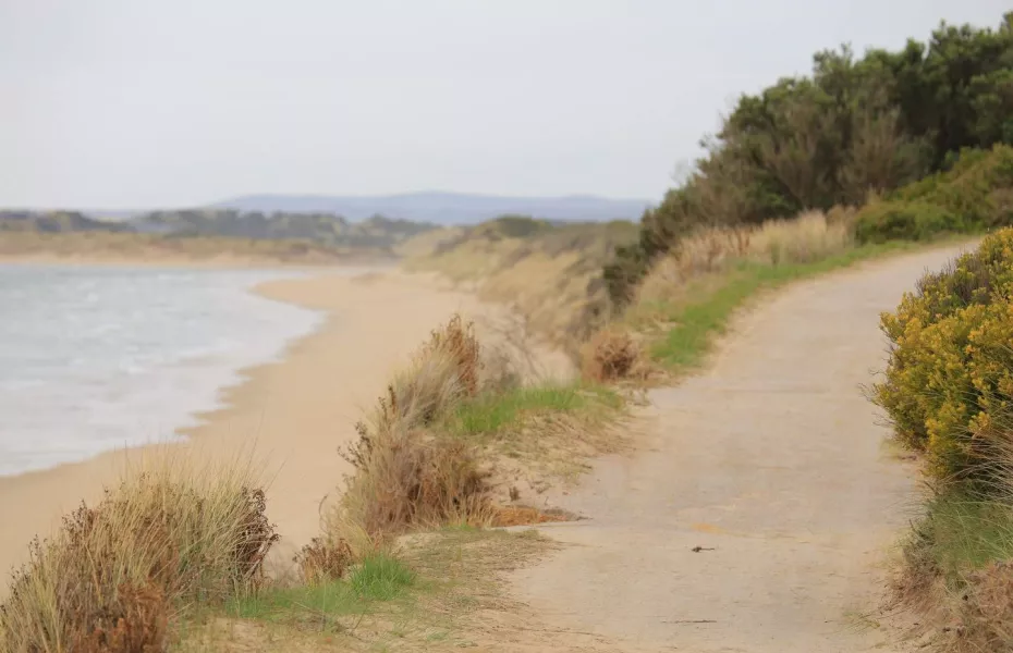 Barnbougle Dunes: path near 5th tee