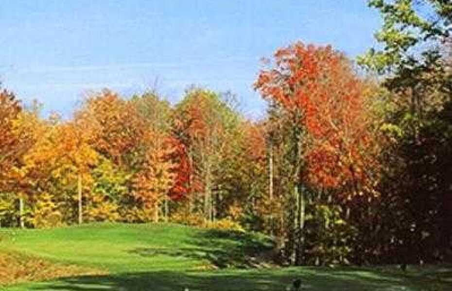 The Ravines Golf Club in Saugatuck, Michigan, USA GolfPass