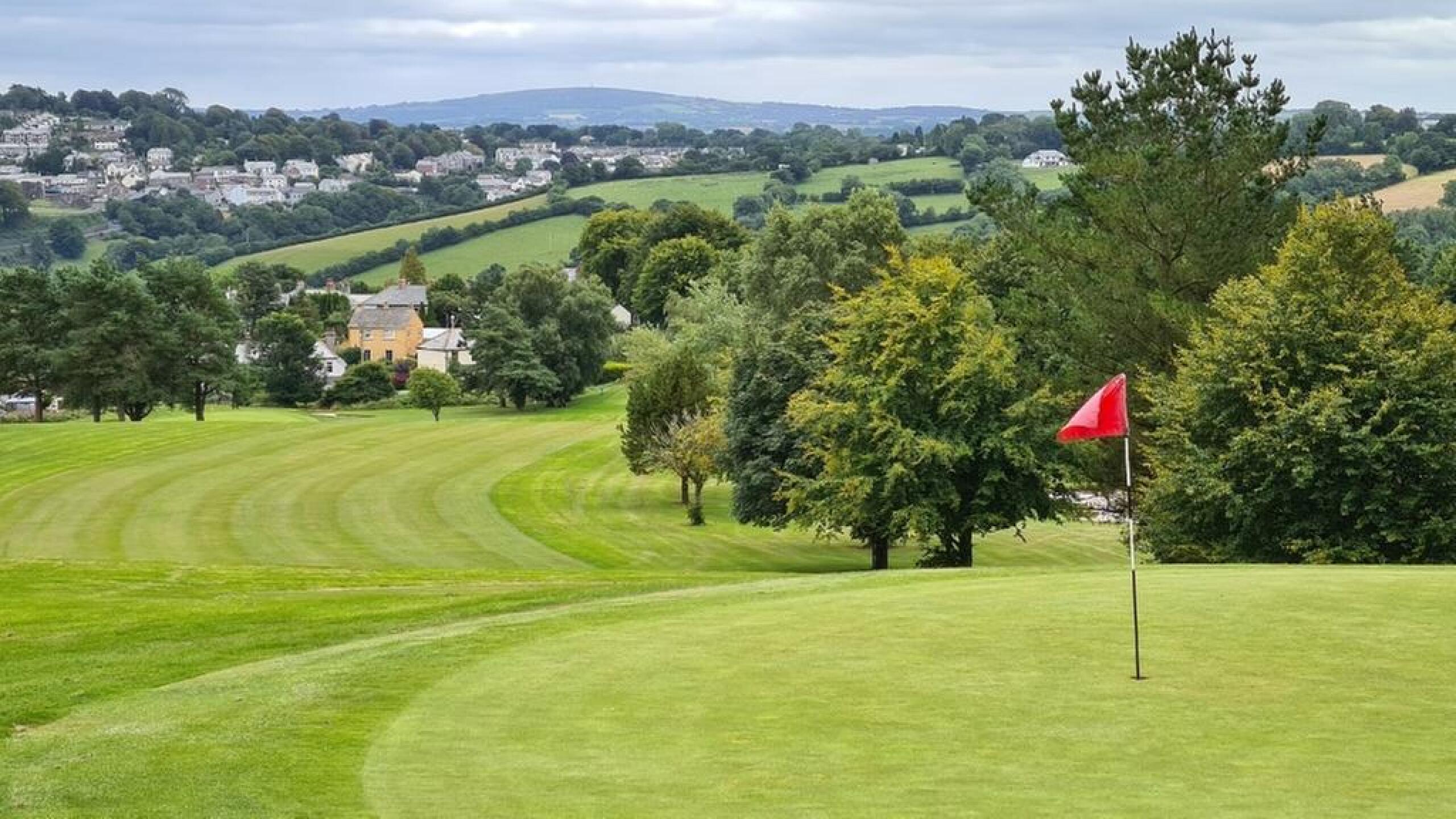 (Photo submitted by ljbd999 on 08/05/2020)