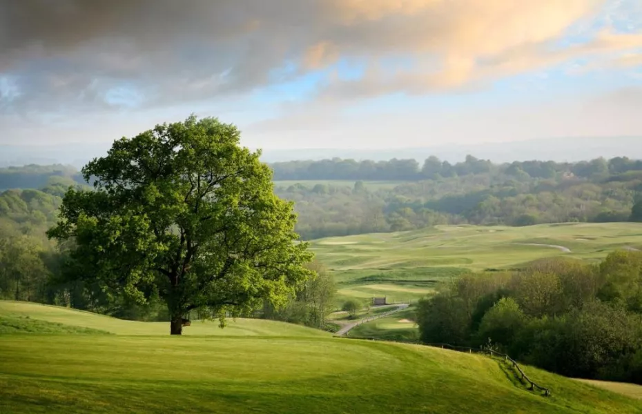 Dale Hill Hotel & GC - Woosnam