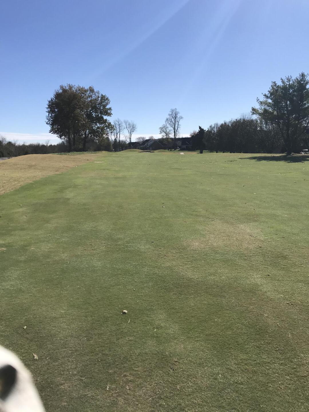 #3 par 5 (Photo submitted by Jamie6233078 on 11/16/2020)