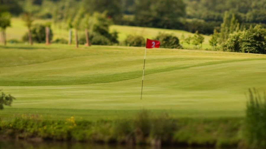 Basset Down GC: #2