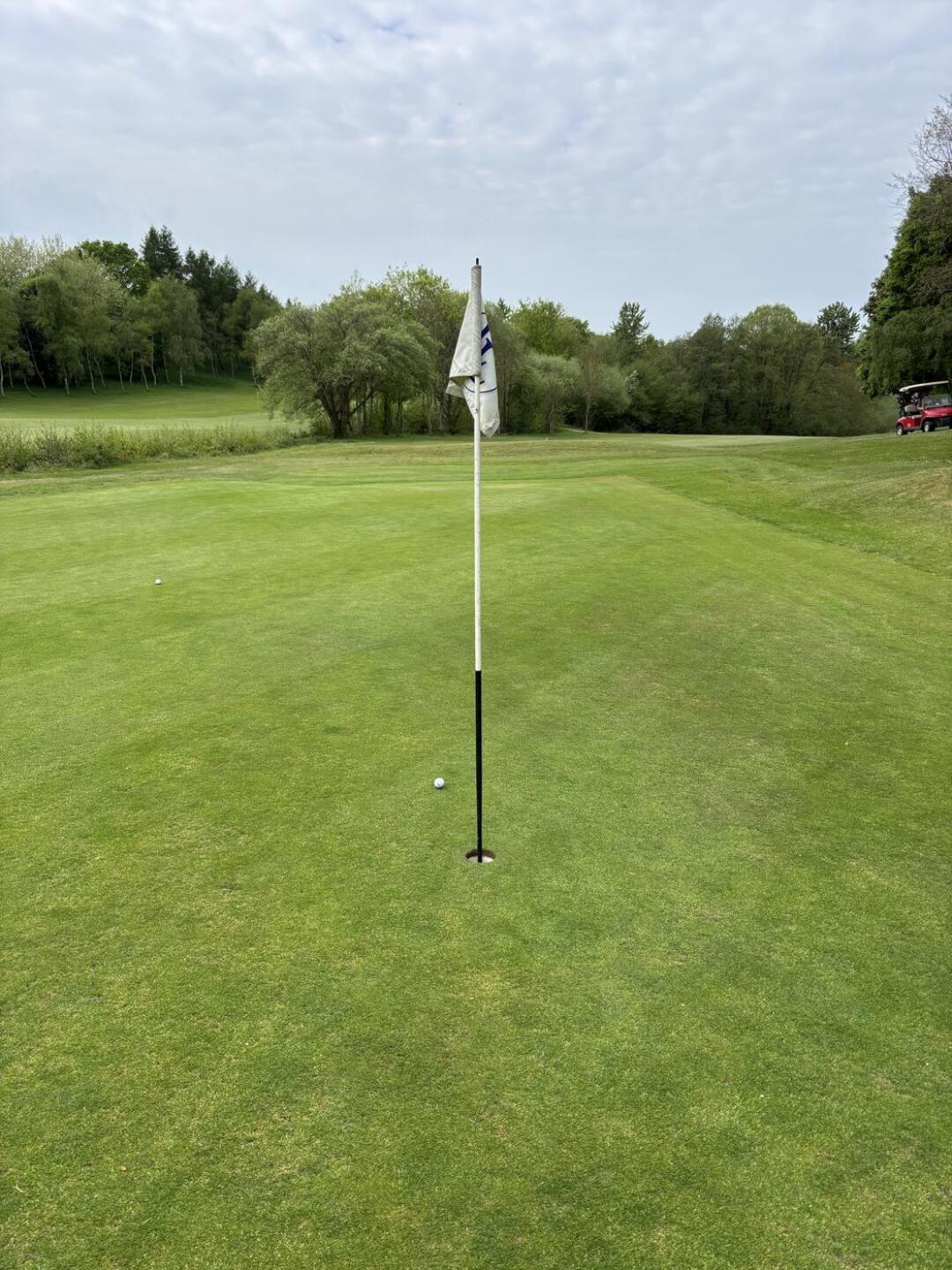 (Photo submitted by t1158420243 on 05/02/2025)