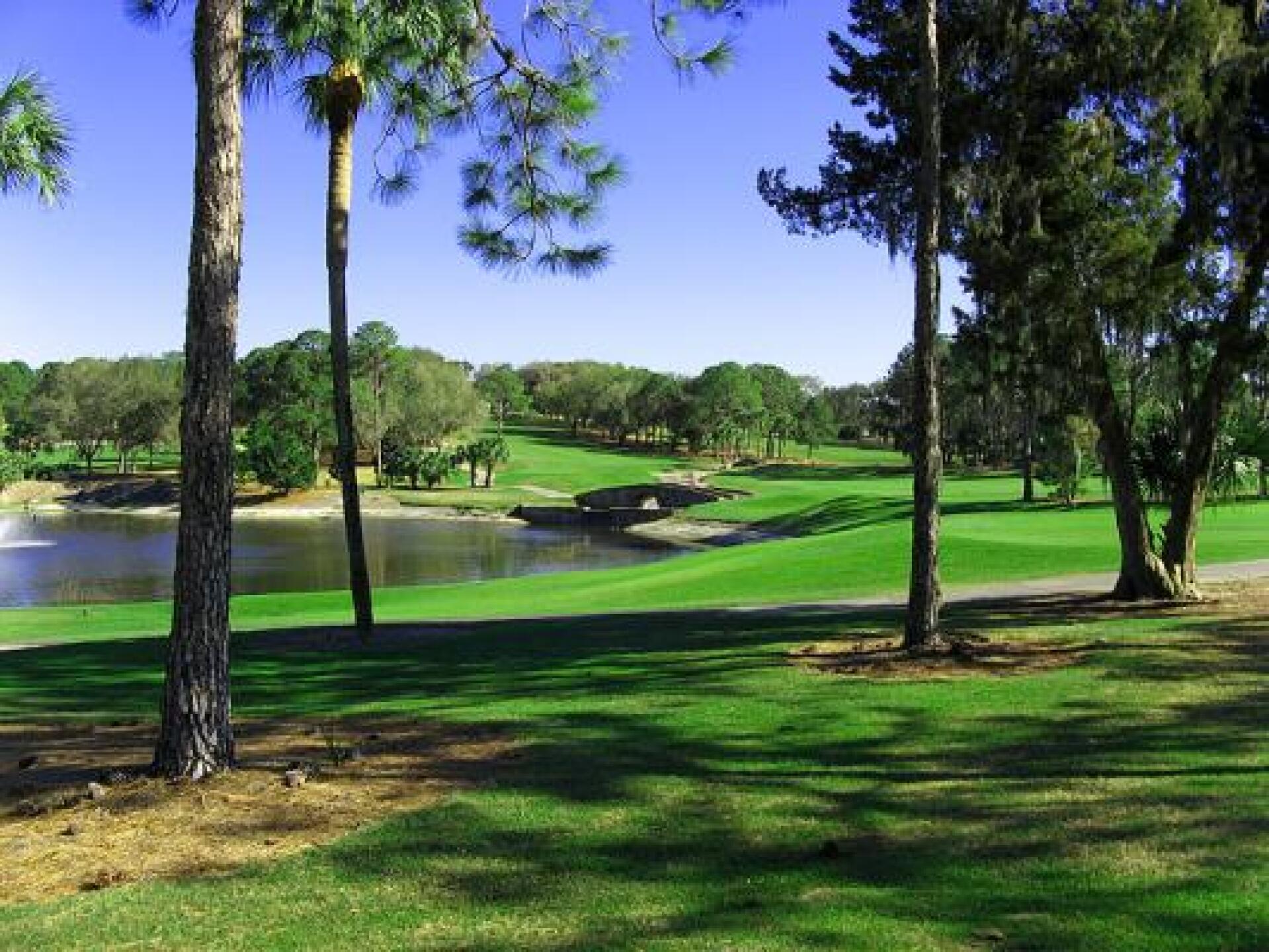 Rolling fairways at El Campeon (Photo submitted by Gerry7187820 on 02/09/2013)