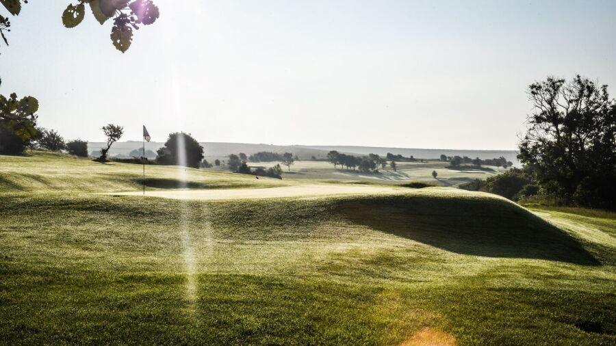 Pyecombe GC: #11