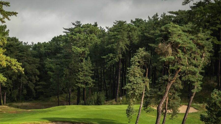 Hardelot GC - The Pines