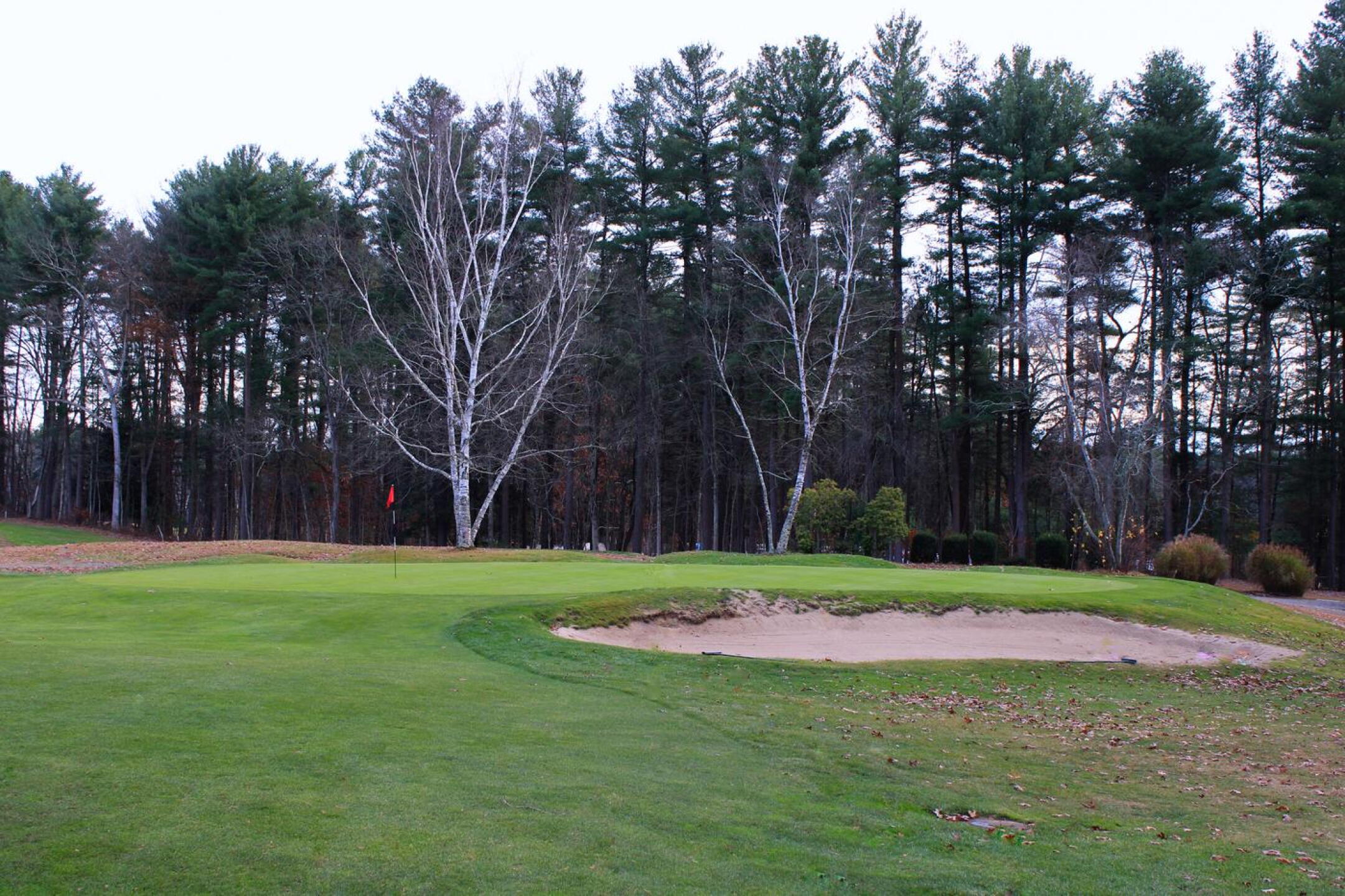 Green ten, late in the afternoon. (Photo submitted by AptlyLinked on 11/13/2024)