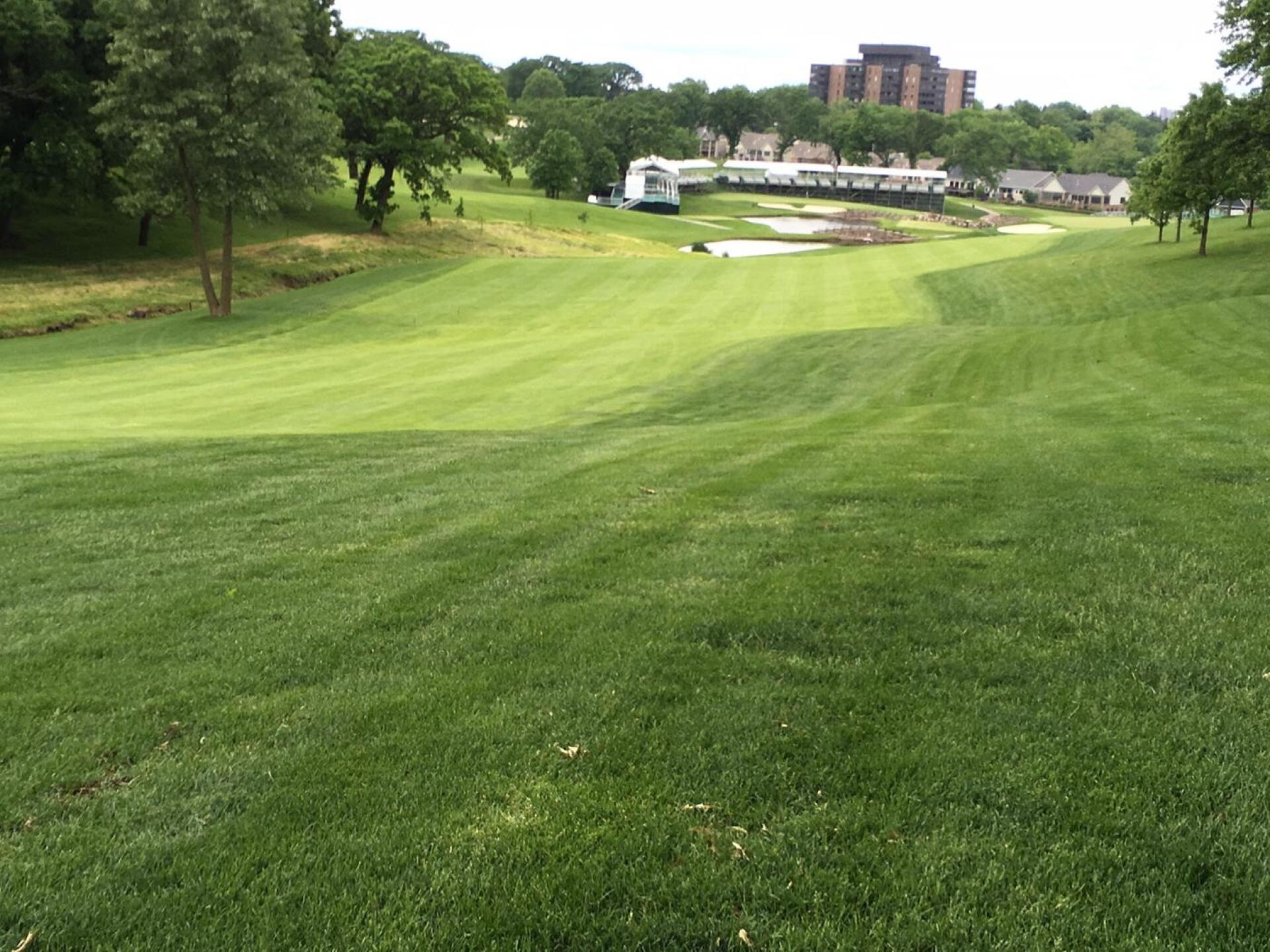 (Photo submitted by GolfDSMdotcom on 05/31/2017)