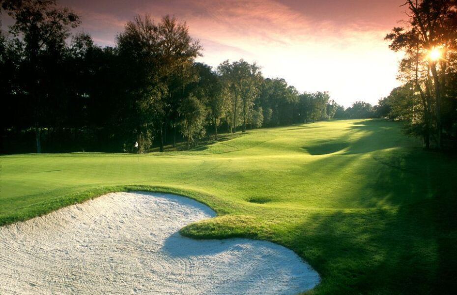 Rolling Oaks At World Woods Golf Club In Brooksville Florida Usa Golf Advisor Now, 953 weeks later, woods has fallen below that level for the first time since then, a stretch that included 683 weeks as the world's no.