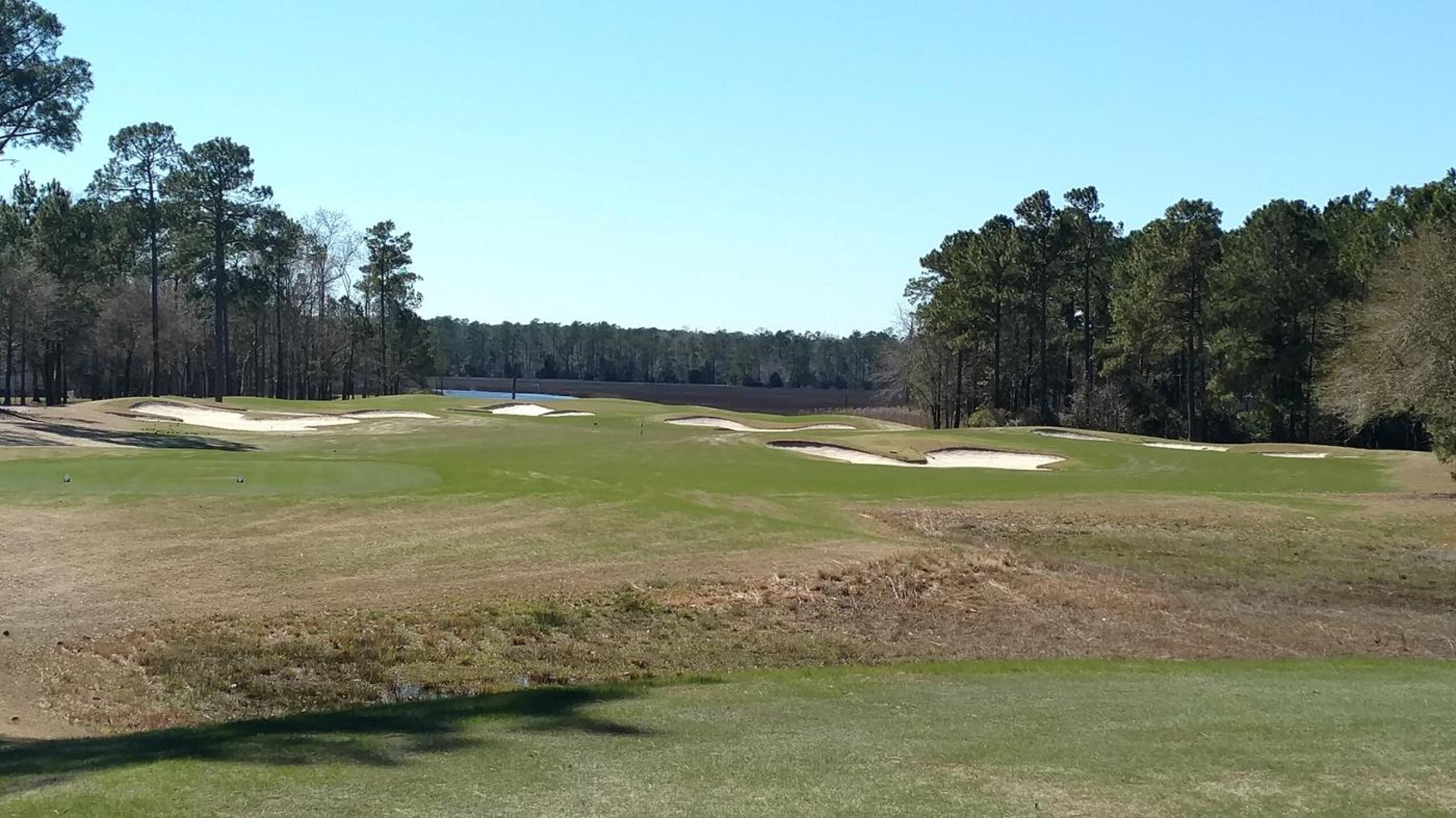 Heron #4 (Photo submitted by Bombtech6316 on 03/06/2018)